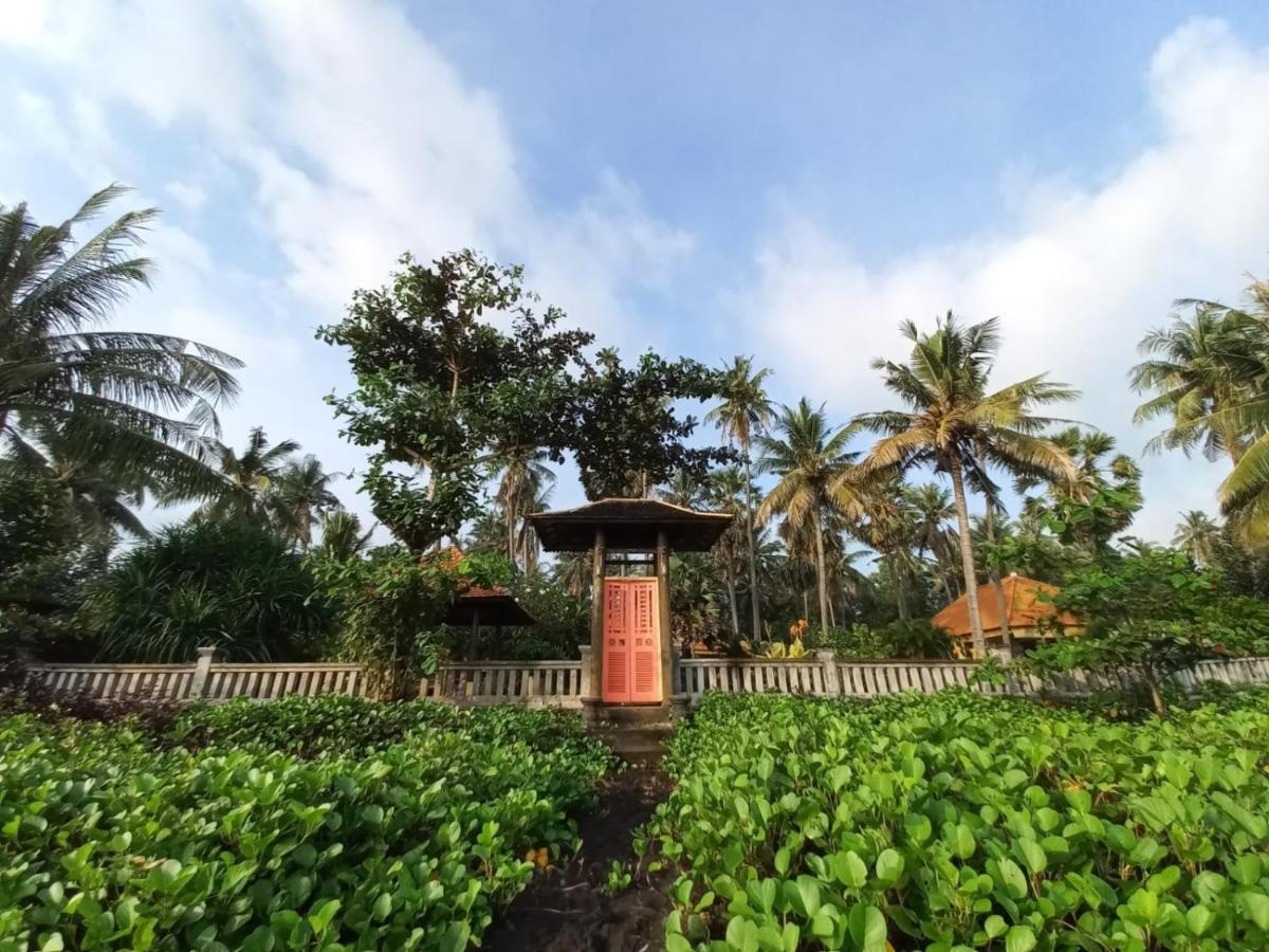 Bali North Beach B&B Tianyar Екстер'єр фото