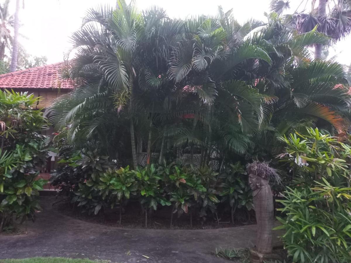 Bali North Beach B&B Tianyar Екстер'єр фото