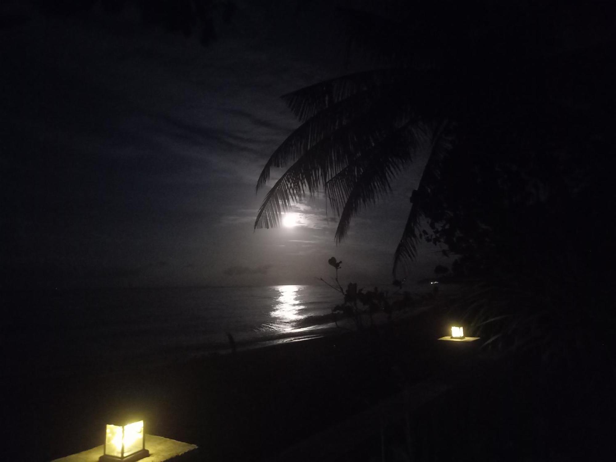 Bali North Beach B&B Tianyar Екстер'єр фото